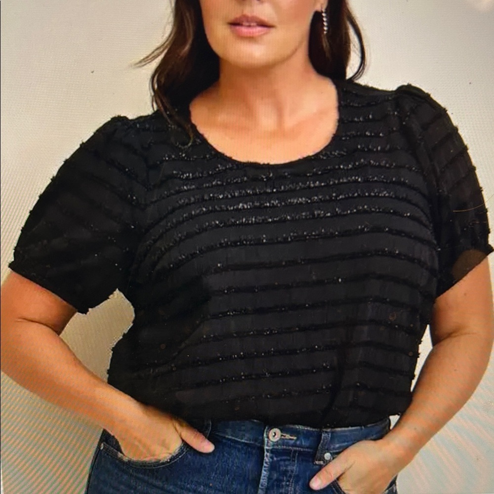 NWT Black abbey chiffon puff top